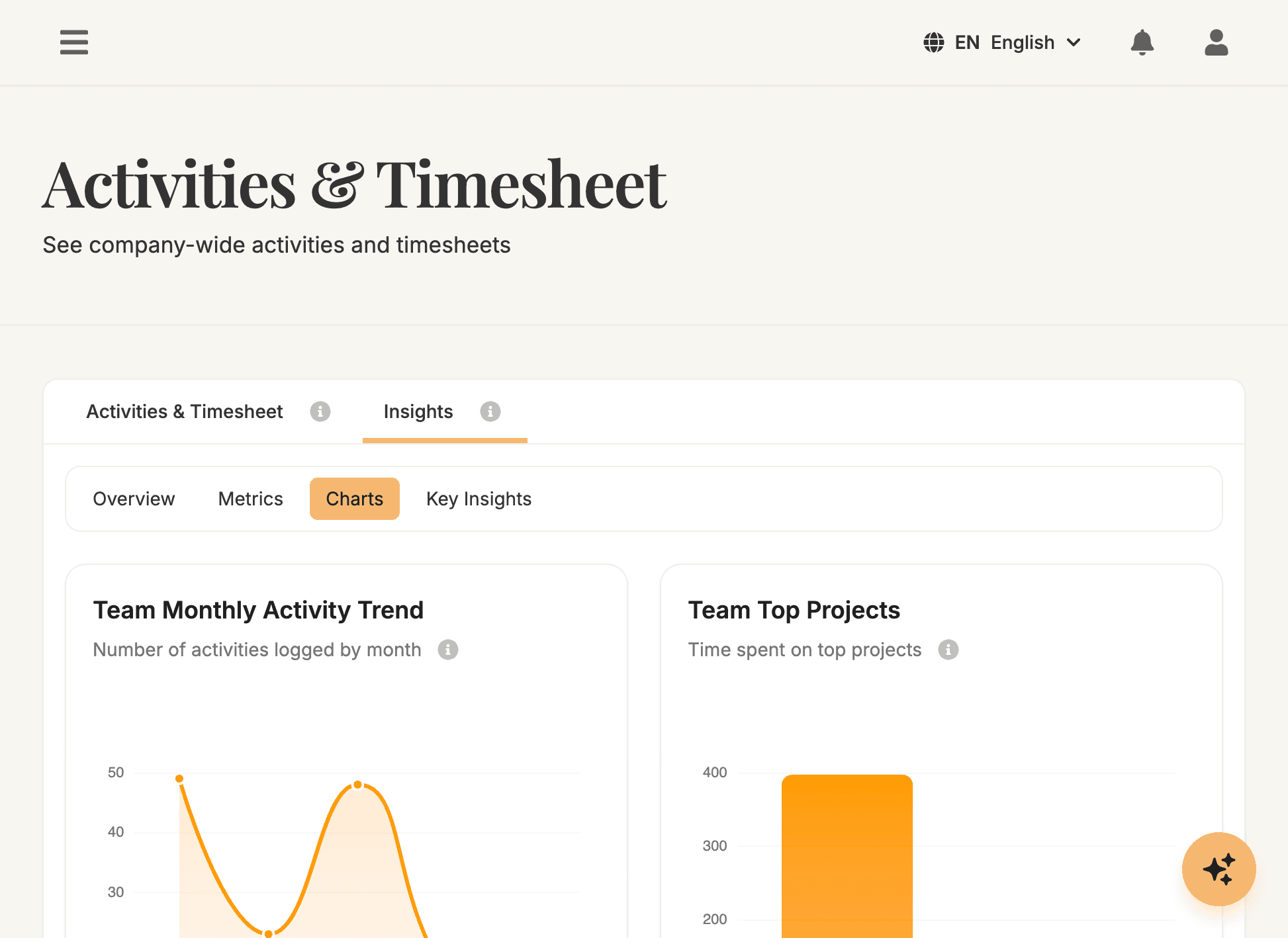 Activity tracking and timesheets screenshot